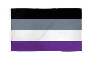 Flags Importer 2' x 3' Asexual Pride Flag