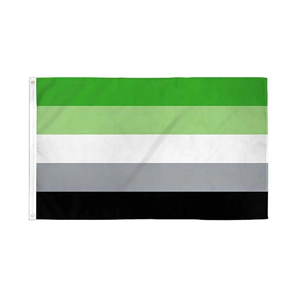Flags Importer 3' x 5' Aromantic Pride Flag