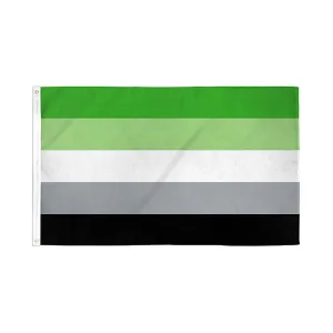 Flags Importer 3' x 5' Aromantic Pride Flag
