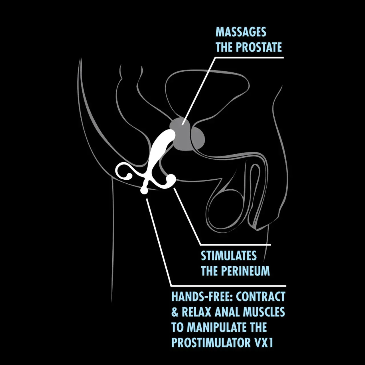 Quickie Kit Deep Anal Toys by Blush Novelties